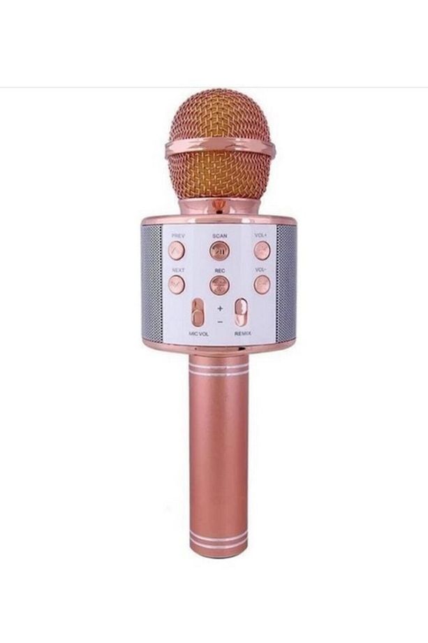 Mikrofon Aux Usb Ve Sd Kart Girişli Bluetooth (ws-858) - 2