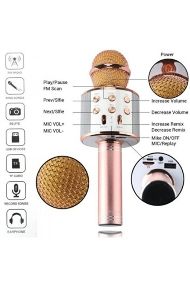 Polygold Ws 858 Blutooth Karaoke - 2