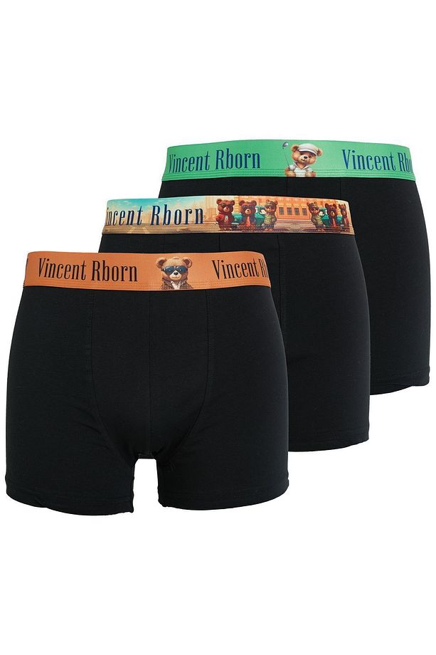 Erkek Boxer 3 Adet - Teddy Series 2023tdy001 - 3