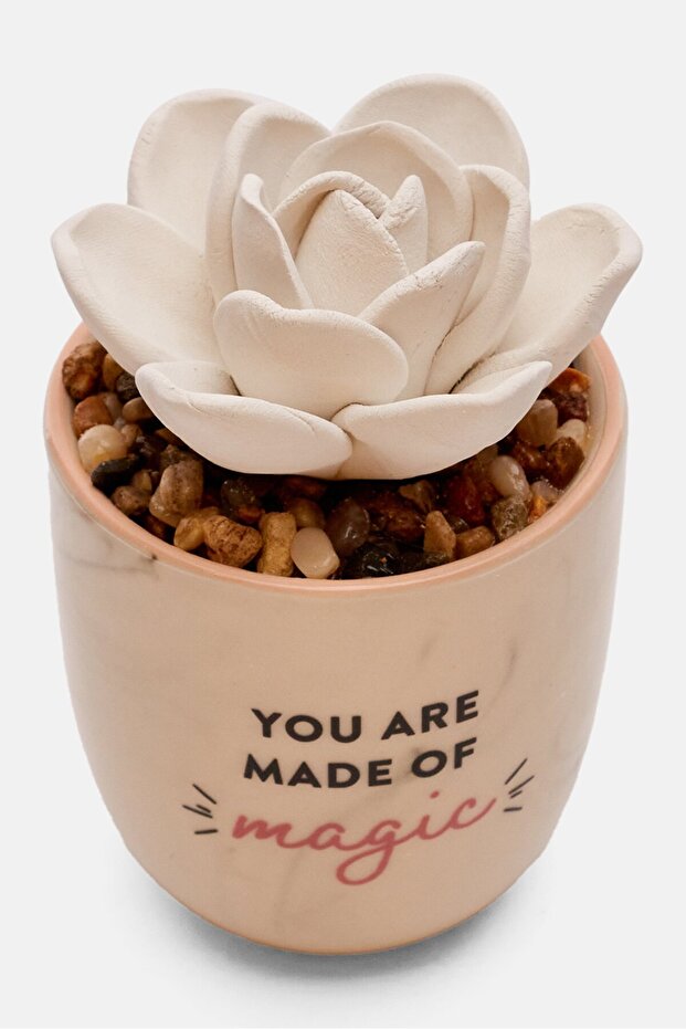 Succulent Oil Diffuser, White Combo - 2