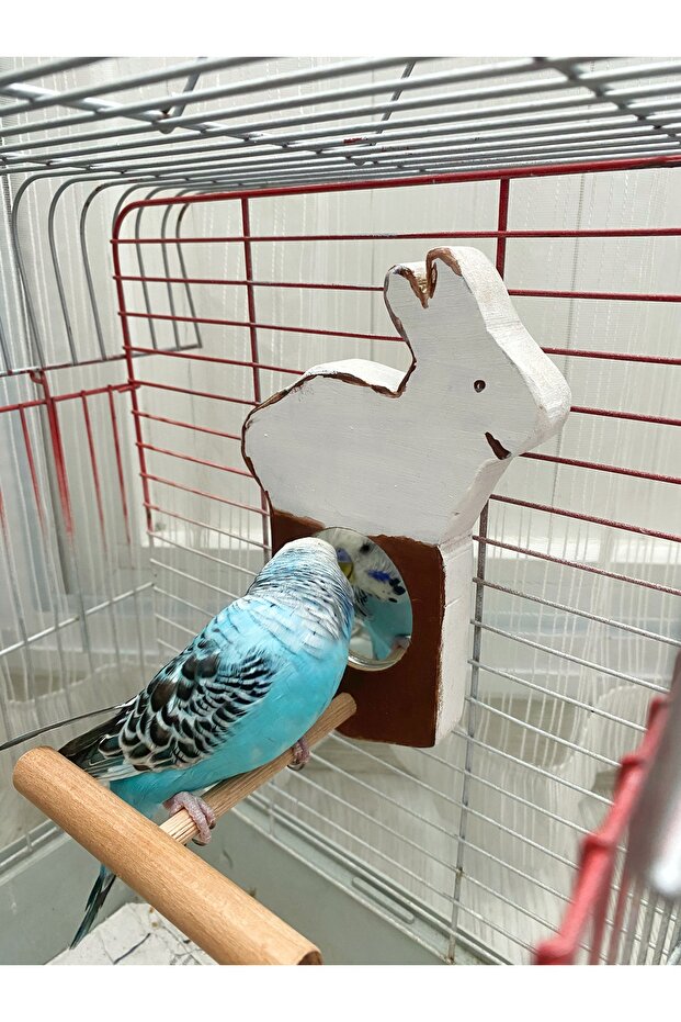 نموذج أرنب أبيض عاكس الطيور جثم - 3