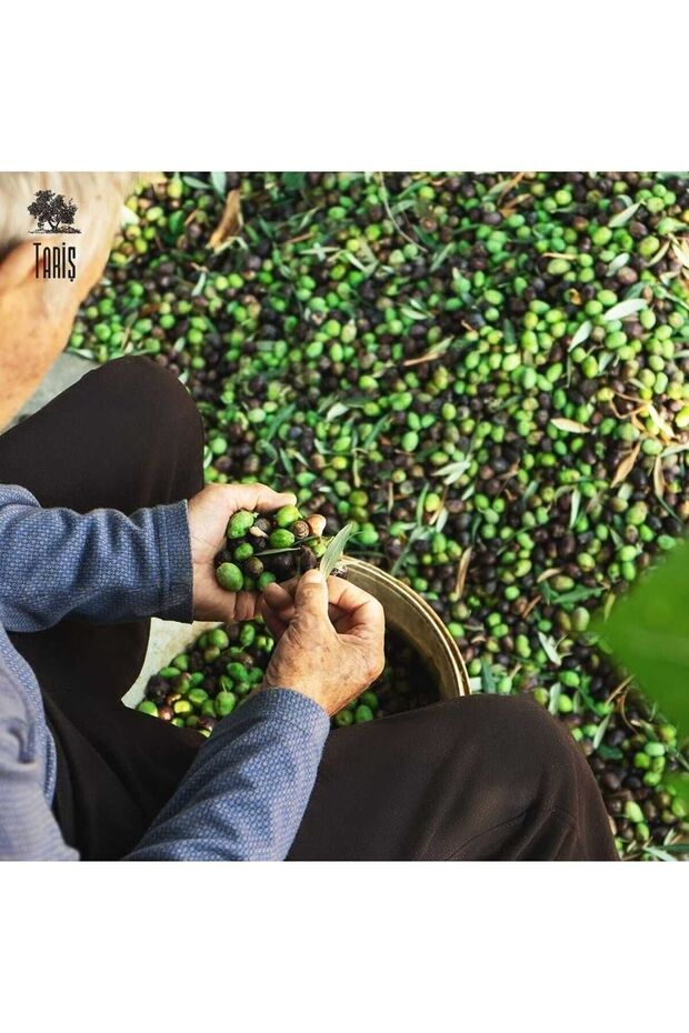 175 Grams Olive Leaf Soap - 5