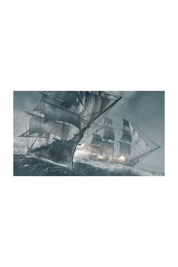 Assassin's Creed Iv Black Flag Ps4 Oyun - 6