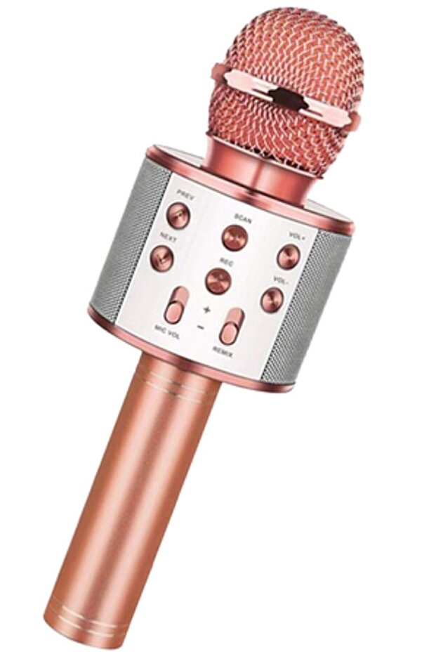 Karaoke Rosegold Mikrofon - 2