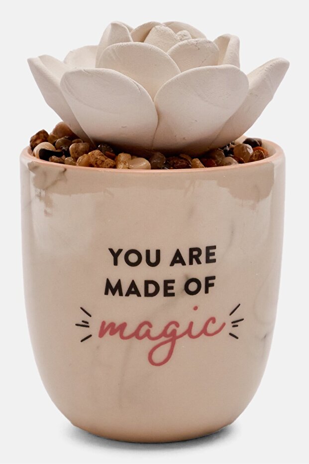 Succulent Oil Diffuser, White Combo - 1