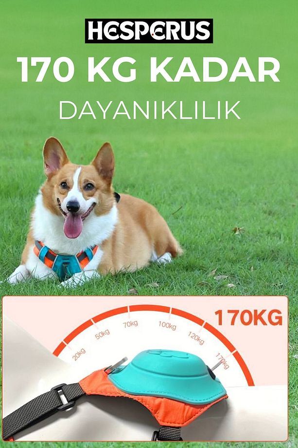 Kendinden Gezdirmeli Çok Yönlü Uzatılabilir Köpek Göğüs Tasması (YENİ NESİL) - 6