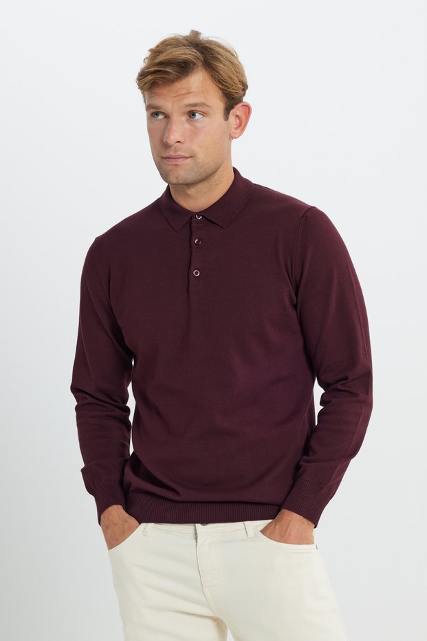 Men's Burgundy Cotton Standard Fit Regular Cut Polo Neck Knitwear Sweater