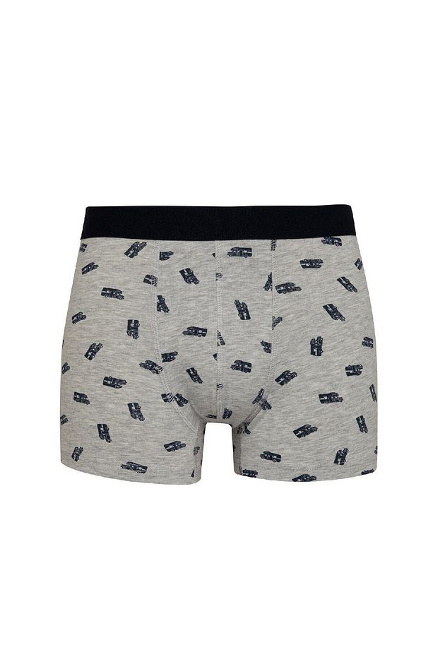 Regular Fit 3'lü Boxer C9533ax24au - 8
