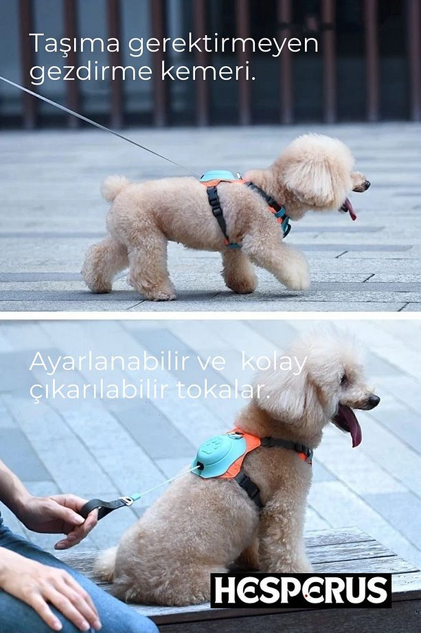 Kendinden Gezdirmeli Çok Yönlü Uzatılabilir Köpek Göğüs Tasması (YENİ NESİL) - 2