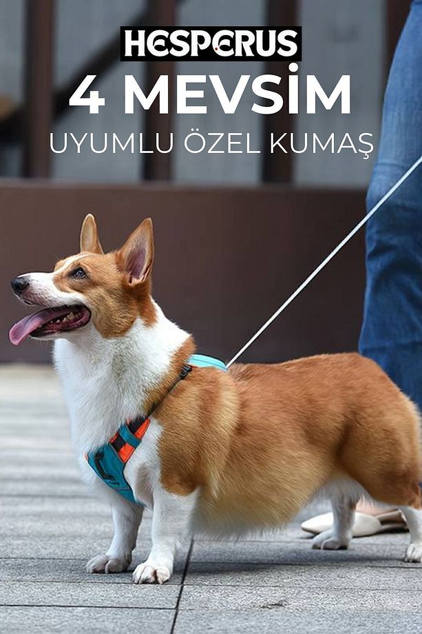 Kendinden Gezdirmeli Çok Yönlü Uzatılabilir Köpek Göğüs Tasması (YENİ NESİL) - 4