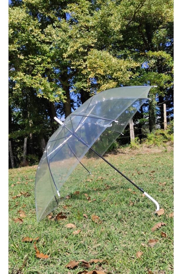 Şeffaf Baston Şemsiye - 2