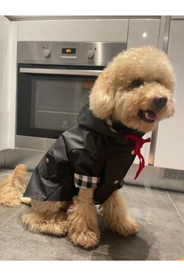 Desen Yağmurluk - 7