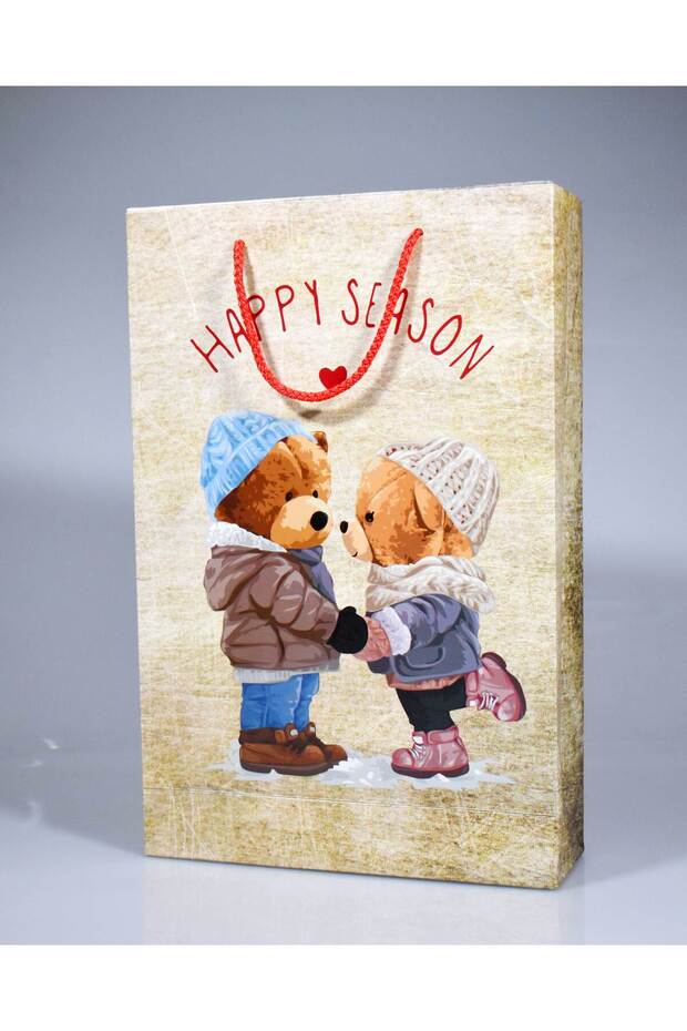 AYICIK HEDİYE KARTON POŞET - 1