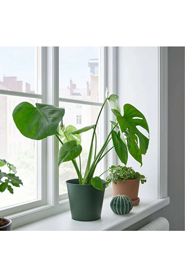 AKERBAR  çelik saksı yeşil 1,8l - 2