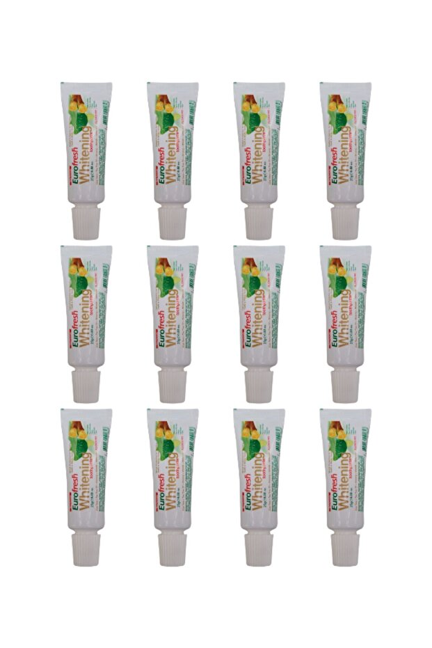 Eurofresh 25 gr Toothpaste with Miswak - 12 Pieces