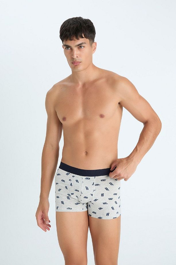 Regular Fit 3'lü Boxer C9533ax24au - 4