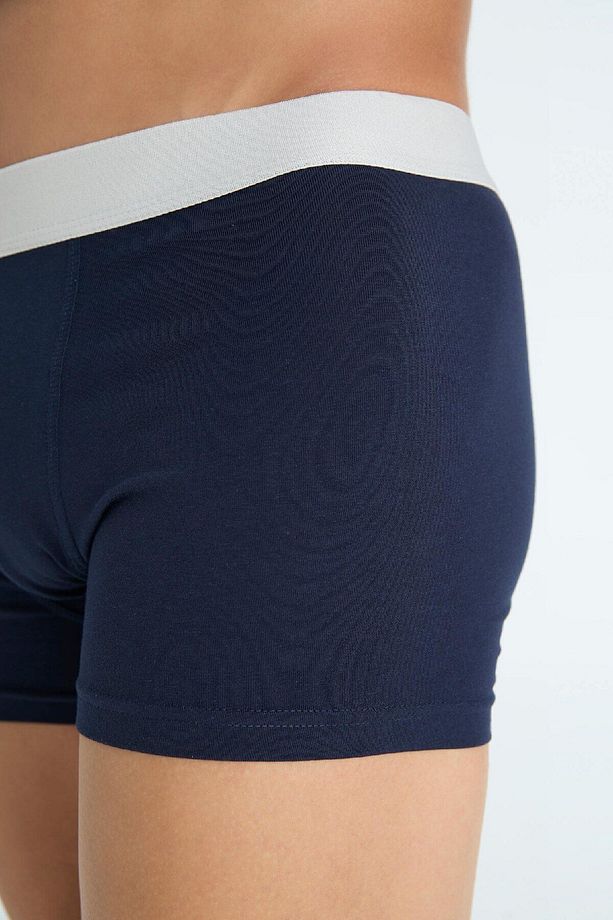 Regular Fit 3'lü Boxer C9533ax24au - 6