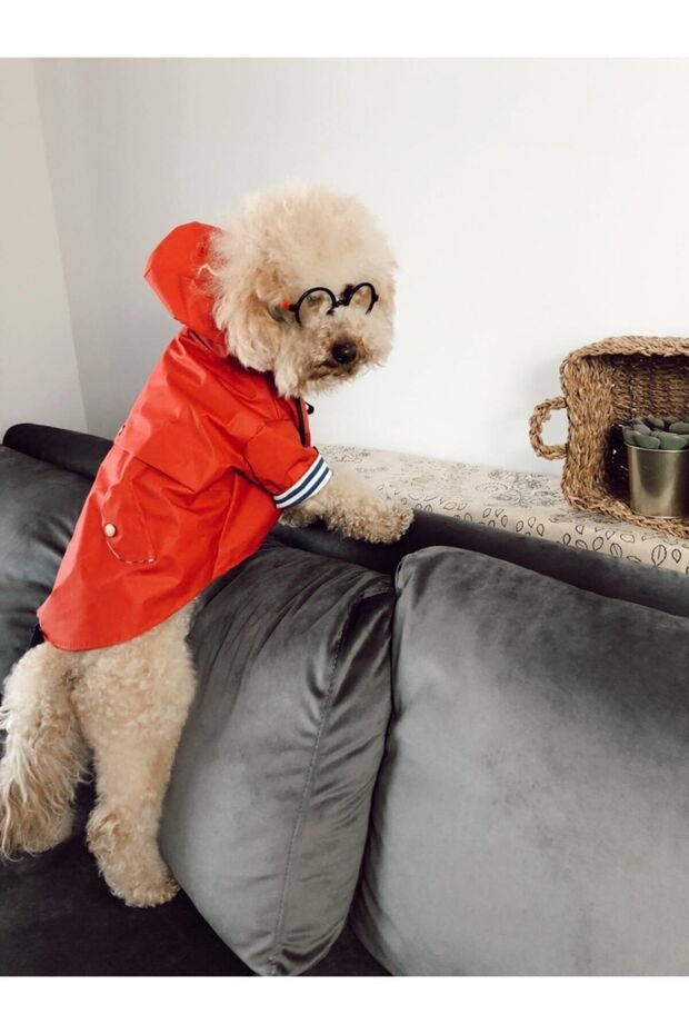 معطف واق من المطر أحمر - 5