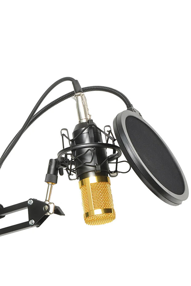 Profesyonel Kondansatör Mikrofon Seti Ses Kartı Komple Set Profesyonel Yayıncılar İçin Mikrofon Set - 5