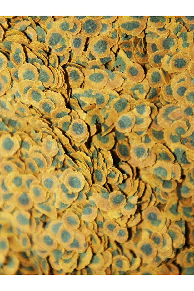 Tropical Mix Selection 125ml, PRO Algae Multi-Crisps 30gr ZipPack Balık Yemi, Multivitamin - 4