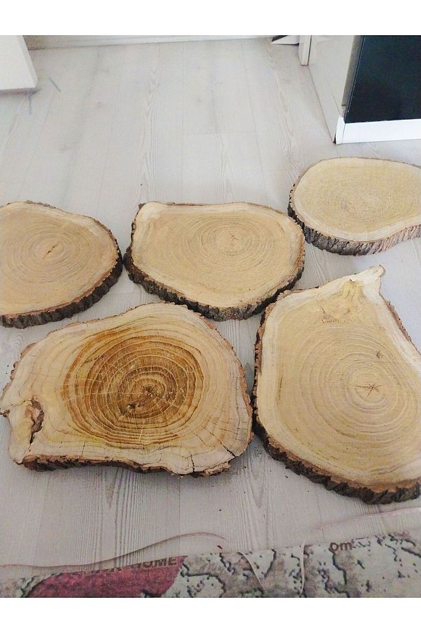 Epoksi Kütüğü Epoksilik Sehpa Kütük Zeytin Kütüğü Gölgede Kurutulmuş4 Adet 35cm - 4