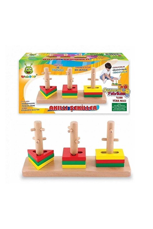 Wooden Intelligent Geometric Shapes Coordination and Problem Solving