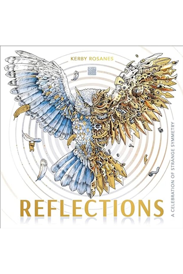 Reflections - 1
