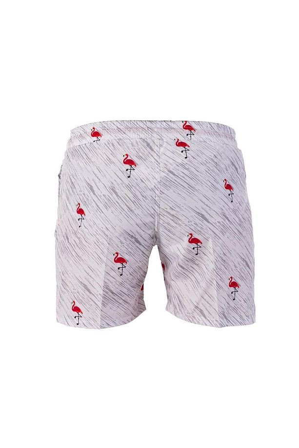 Flamingo Kırmızı Desenli Erkek Şort Mayo - 2
