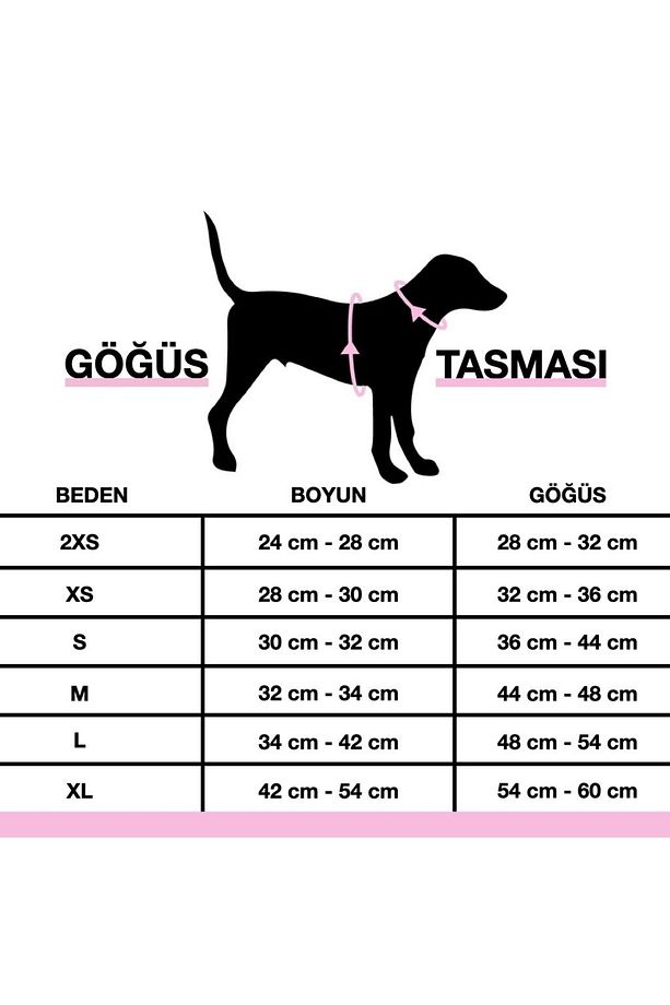 Köpek Tasma Seti Kişiye Özel Airmesh Göğüs Tasması İsimli Göğüs Tasması ve Köpek Gezdirme Halatı - 4