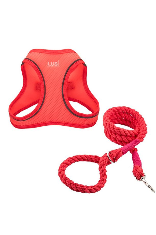 Köpek Tasma Seti Kişiye Özel Airmesh Göğüs Tasması İsimli Göğüs Tasması ve Köpek Gezdirme Halatı - 1