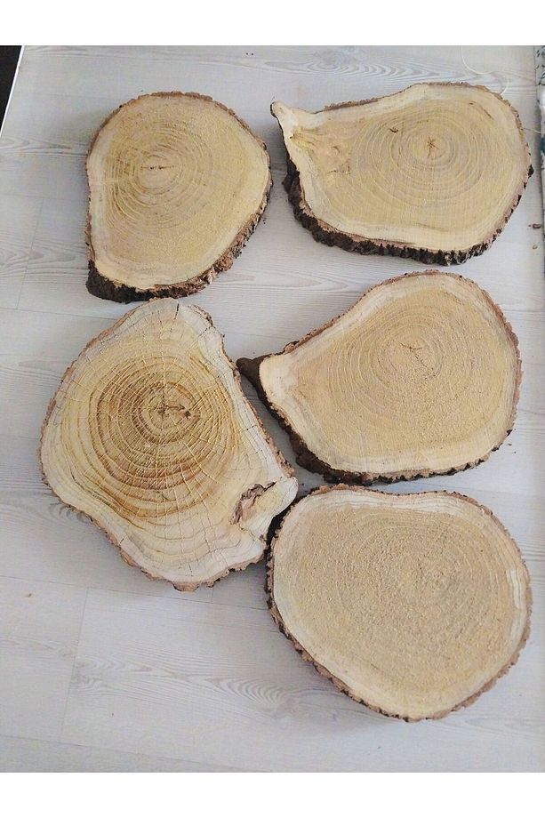Epoksi Kütüğü Epoksilik Sehpa Kütük Zeytin Kütüğü Gölgede Kurutulmuş4 Adet 35cm - 3