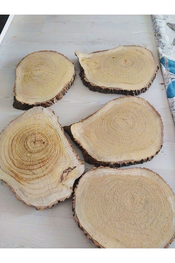 Epoksi Kütüğü Epoksilik Sehpa Kütük Zeytin Kütüğü Gölgede Kurutulmuş4 Adet 35cm - 2