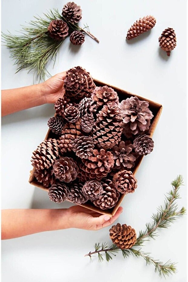 Doğal Boyasız Orta Boy Kozalak Yılbaşı Yemek Masası Ve Çam Süsü - 6 Adet - 1