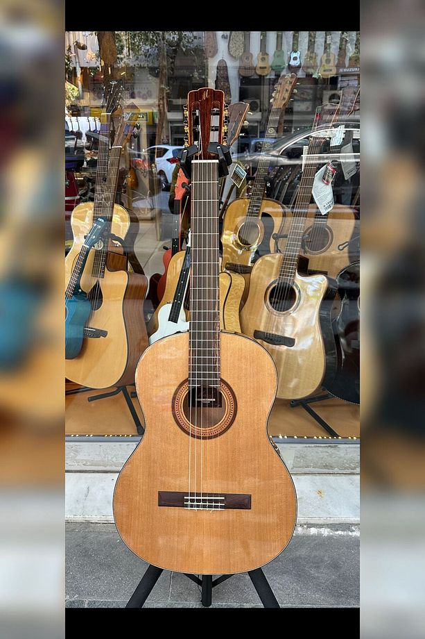 SG-1 Profesyonel Klasik Gitar - 1