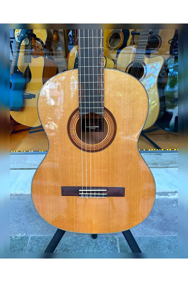 SG-1 Profesyonel Klasik Gitar - 3