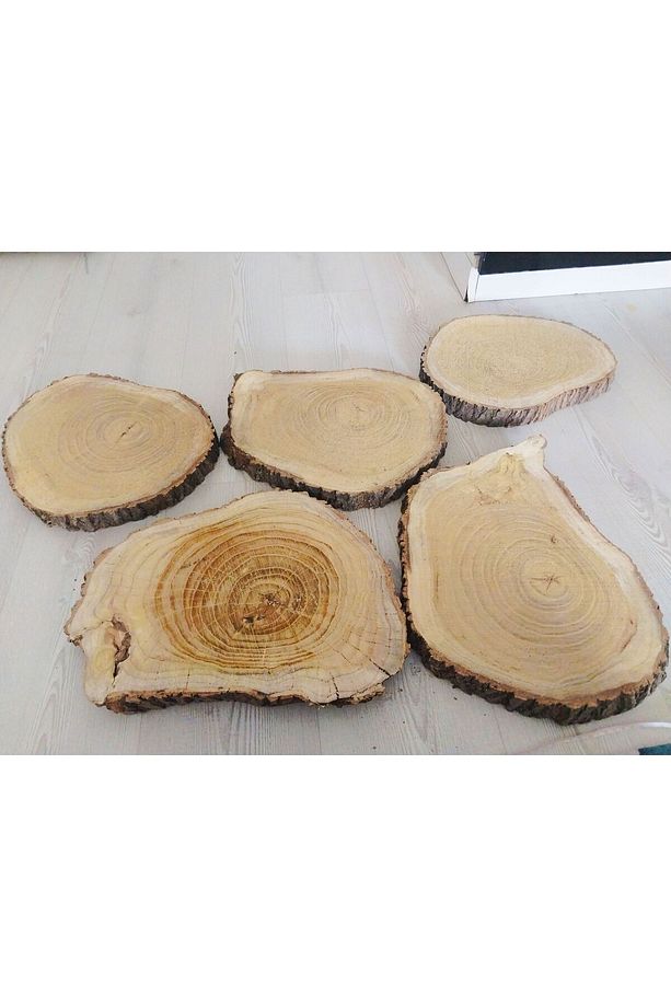 Epoksi Kütüğü Epoksilik Sehpa Kütük Zeytin Kütüğü Gölgede Kurutulmuş4 Adet 35cm - 5