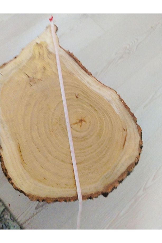 Epoksi Kütüğü Epoksilik Sehpa Kütük Zeytin Kütüğü Gölgede Kurutulmuş4 Adet 35cm - 6