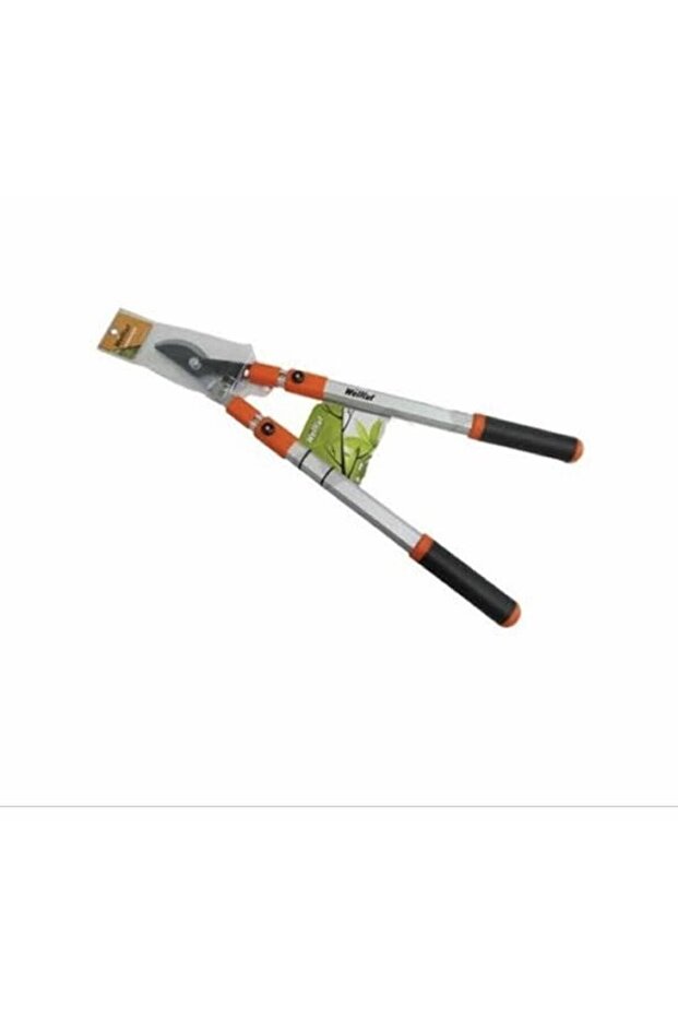 Dal Budama Makası - 3