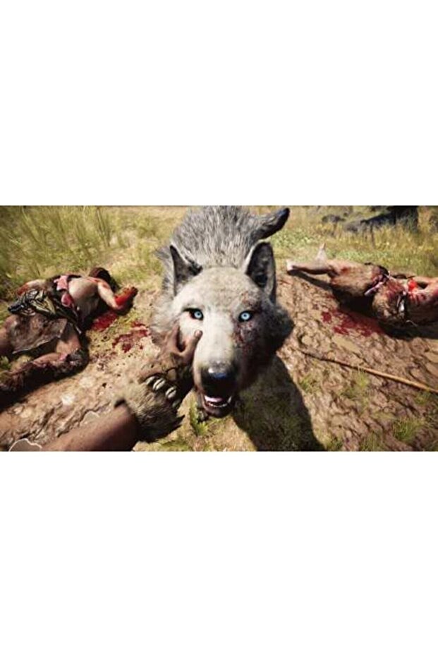 Far Cry Primal Ps4 Oyun - 2