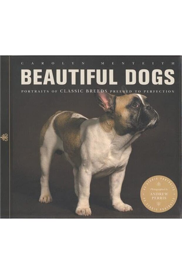 Beautiful Dogs Portraits Of Champion Breeds Preened To Perfection