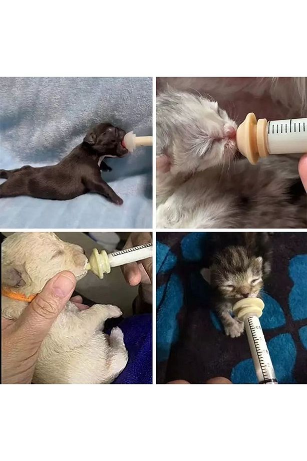 Evcil Hayvan Mini Silikon Meme Yavru Kedi Köpek Hamster Emzik Biberon 1 Adet - 8