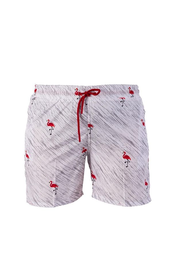 Flamingo Kırmızı Desenli Erkek Şort Mayo - 1