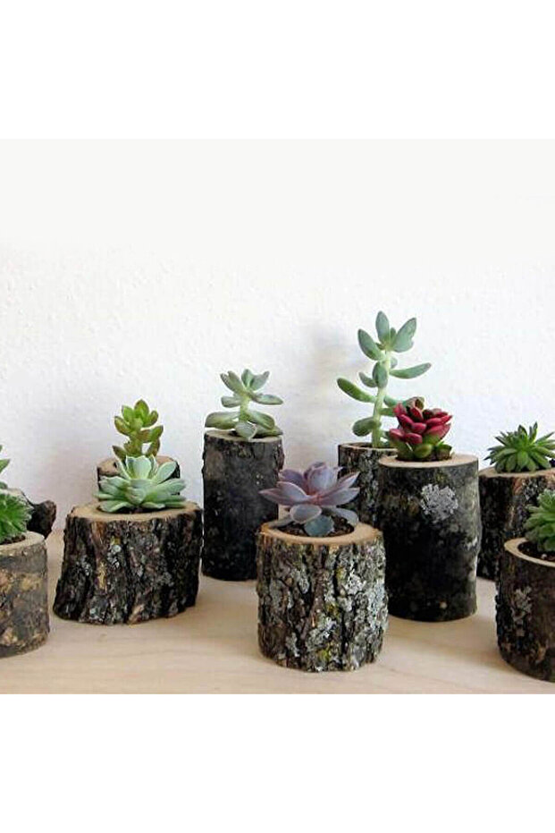 Mini Kütük Saksı Adet - 5
