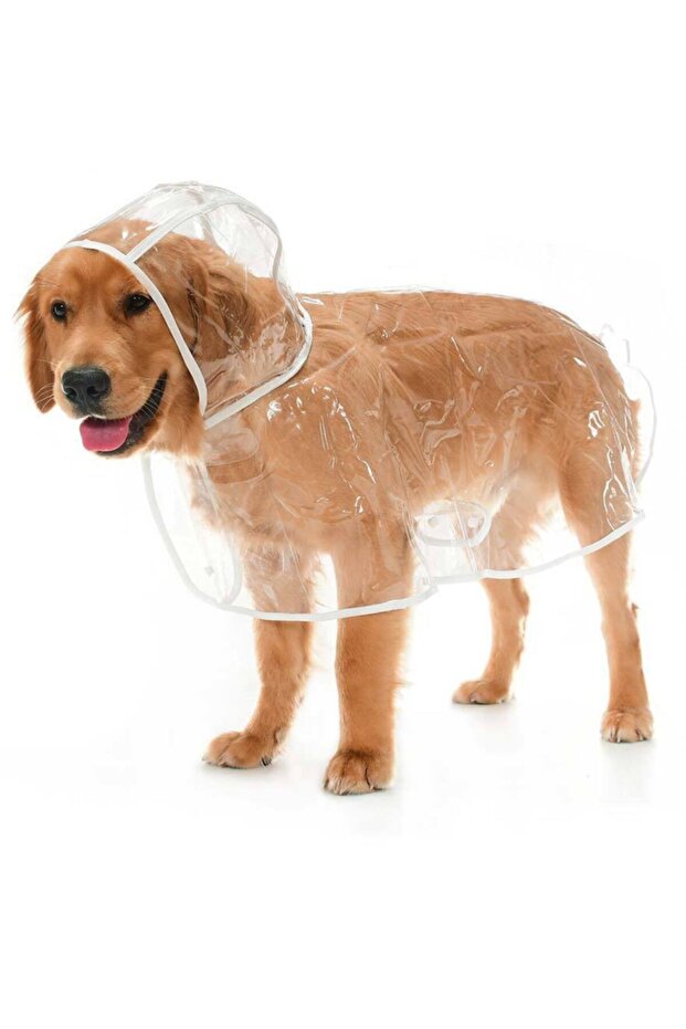 Otso Transparent Large Breed Raincoat