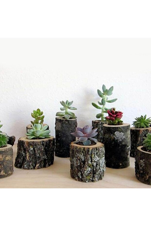 Mini Kütük Saksı Adet - 3