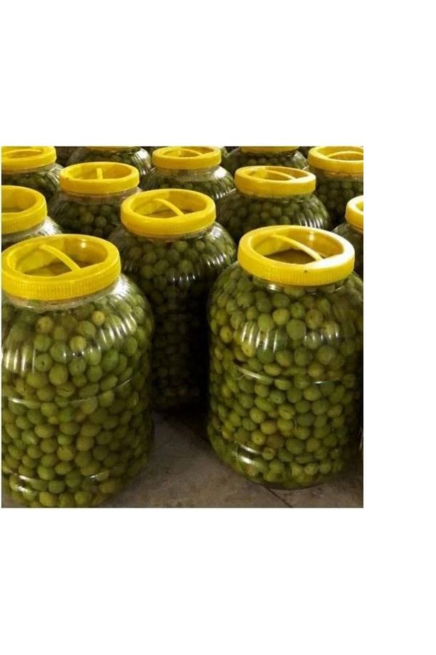 Hatay Halhalı Zeytini 3kg (hatay Dağ Zeytini Halhalı Zeytini) - 1