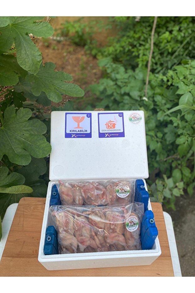 Bıldırcın Eti 10 Adet - 2