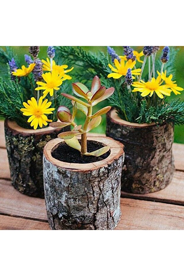 Mini Kütük Saksı Adet - 1
