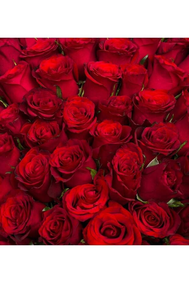 Gül Dudak Balmı - 4