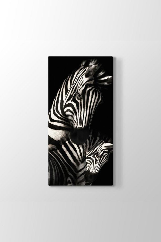 Desenli Zebra Tablosu - 1